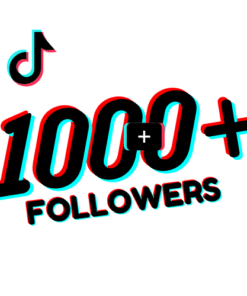 Organic TikTok Followers – Real Growth | Price Per 1K